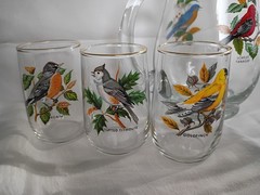 West Virginia Glass Speciality American Songbirds Pitcher Matching Glasses