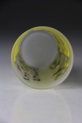 Vintage Hazel Atlas Frosted Souvenir Glass Tumbler New Mexico