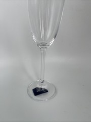 NWT Mikasa Julie Champagne Flute Glass Crystal Mint