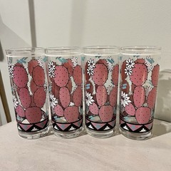Adorable Southwest Pink Cactus & Floral Highball Glasses 10oz 6″ Barware Set/4