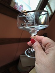 3 Vintage Forest West Germany Rose Etched Crystal Champagne Coupes – Silver Rim