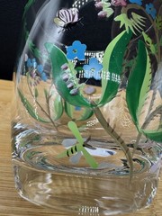 Portmeirion Botanic Garden Double Old Fashioned Glasses 14 fl. oz ~ In Box