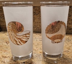 2 Vintage Culver Rocks Glasses Gold Shells Scallop, Nautilus Frosted Tumblers 6″