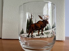 Complete Set 8 Different Libbey Sunoco North American Wildlife Drinking Glasses