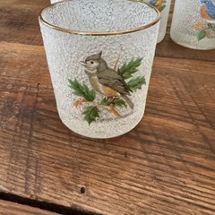 Vintage WV Glasses Flat Tumbler Songbirds 8 oz Set of 5 Gold Rim Nature Whimsy