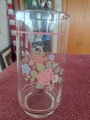 Pfaltzgraff Tea Rose Floral Libbey Tumbler Drinking Glasses Pink Bands Set of 5