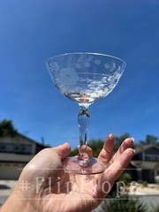 Vintage Etched Hand-Blown Crystal Floral Champagne Coupe Optic Panel Design 5″