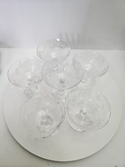 Beautiful Etched Glass Cocktail Glasses- 6