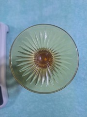 vintage glass goblet Bartlett-Collins Manhattan pattern in amber