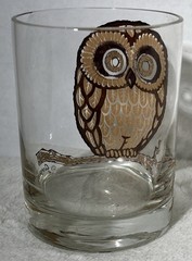 Georges Briard Owl 14 Oz Rocks Glasses Set Of 6 MCM Double Old Fashioned Sigma