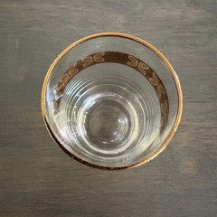 Vtg MCM Czech SPOJENE SKLARNE Glassworks. Lednicke Rovne 4 Shot/Cordial Glasses.