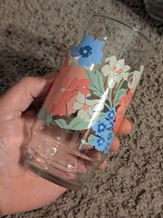 Set of 4 Vintage Flower Floral Mid Century Tumblers 5-3/4″ Drinking Glasses