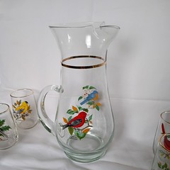West Virginia Glass Speciality American Songbirds Pitcher Matching Glasses