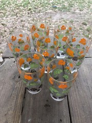 Set of 7 1960’s Juice Glasses with an Autumn Leaves Print