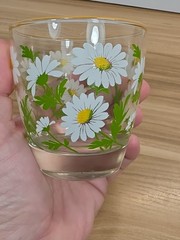 VTG Libbey Glass White Daisy Juice Glass Yellow Rim MCM Replacement