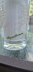 🌿Vintage Boscul Peanut Butter 5″ Glass White CHRYSANTHEMUM