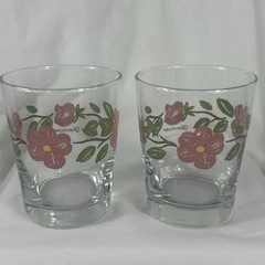 2 Franciscan Desert Rose Glass Hand Painted Tiffin Vintage 2 Set Juice Rocks