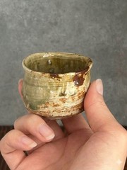 Hakudo Kiln Shigaraki Ware Guinomi Sake Cup Handmade Japanese Pottery