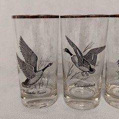 Federal Sportsman Game Birds Glasses 4 12 oz Grouse Pheasant Goose Canvasback