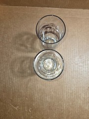 Glasses Down to Earth Basics «Mushrooms» x2