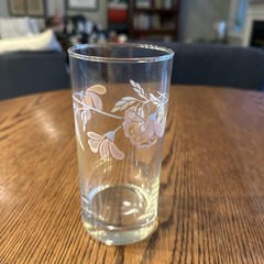 Clear Tumblers Pastel Floral Vine Pattern Drinking Glasses Vintage Set Of 4