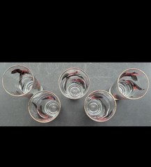 HAZEL ATLAS VINTAGE HIGHBALL PHEASANT GLASSES SET OF 5 1964 VETERANS BANQUET MCM