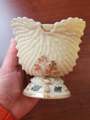 Nice Northwood Custard Glass Nautilus (Argonaut Shell) Hand Painted Sugar