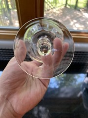 VINTAGE Raised Etched Roses Clear Glass Water Goblet 6.75″H