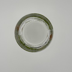 Vintage Portmeirion Botanic Garden 12 oz Double Old Fashioned Glass Daisy Motif