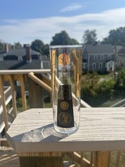 Vintage 1960s Cera Presidential Coin 22 Karat Gold Highball Glass MCM