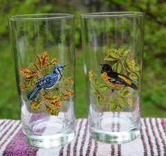 VINTAGE PAIR OF SONGBIRD DRINKING GLASSES BLUE JAY AND ORIEL