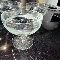 Etched Clear Glass Champagne Glasses Set of 3 with Etched Patterns