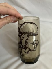 Vintage Anchor Hocking 1974 Merrie Mushroom Drinking Glasses Set of 4