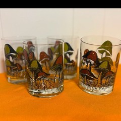 Vintage 1970s Mushroom Rocks Glasses Set Of 4 Inter Line Retro Barware Boho