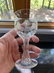 VINTAGE Raised Etched Roses Clear Paneled Stem Wine Glass 5.25″H