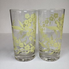Vintage Federal Glass Spring Blossom Floral High Ball Tumblers Glasses Set Of 8