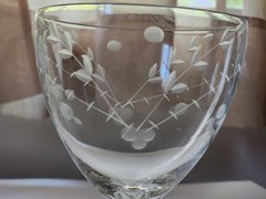 Set Of 6 Etched Stemmed Water Goblets 5 1/4