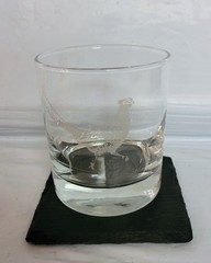 Selbrae House Pheasant Tumbler 11.5 Oz & Slate Coaster Gift Set BarWare Scotland