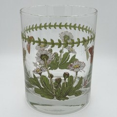 Vintage Portmeirion Botanic Garden 12 oz Double Old Fashioned Glass Daisy Motif