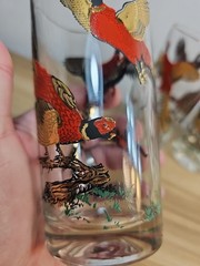 Vintage MCM Red Gold Ringneck Pheasant Tall Barware Glasses Set of 3