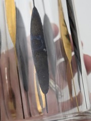 4 MCM Federal Glass Co. Black & Gold Cattail Atomic Highball Barware Glasses