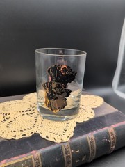 Vintage Set of 6 Rockbend Black Labrador Retriever Lowball / Old Fashioned Glass