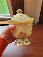 Nice Northwood Custard Glass Nautilus (Argonaut Shell) Hand Painted Sugar