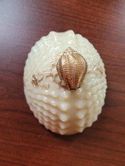 Nice Northwood Custard Glass Nautilus (Argonaut Shell) Hand Painted Sugar