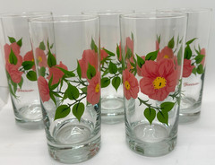 Set of 5 Franciscan England DESERT ROSE 16oz Tumbler Glasses 6 1/4″