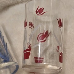 Swanky Swigs Retro Mixed Floral Juice Glasses Set Of 3