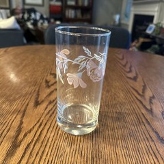 Clear Tumblers Pastel Floral Vine Pattern Drinking Glasses Vintage Set Of 4