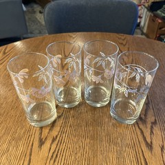 Clear Tumblers Pastel Floral Vine Pattern Drinking Glasses Vintage Set Of 4