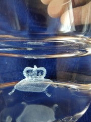 Crown Royal Rocks Liquor Glass 3-D Hologram/Lazer Bottom of Glass Embossed