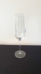 Tiffany & Co Classic U Shape Bowl Champagne Flute 9 1/2 In